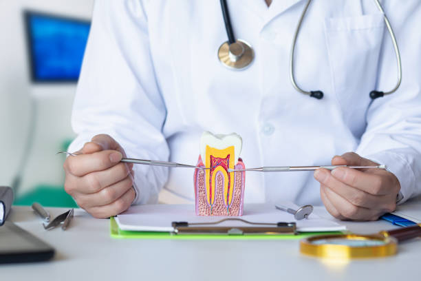 Best Emergency Treatment for Oral Infections in Lake Cassidy, WA